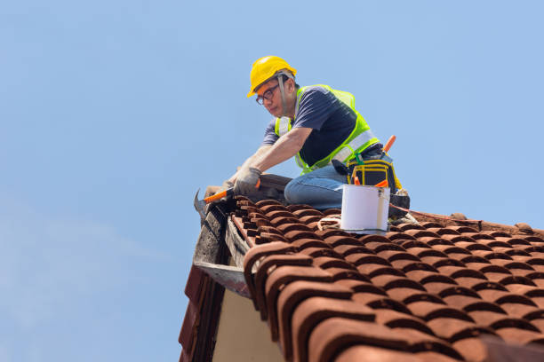 Best Emergency Roof Repair Services  in Rocky Top, TN